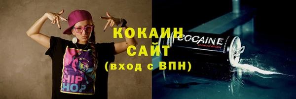 прущие грибы Козельск