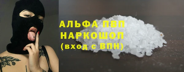 PSILOCYBIN Козловка