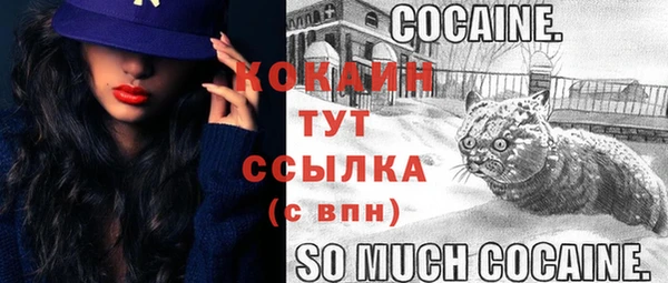 PSILOCYBIN Козловка