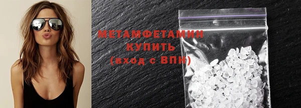 прущие грибы Козельск