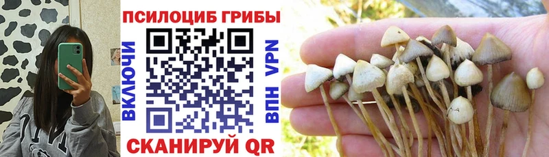 Купить  Вятские Поляны  Псилоцибиновые грибы GOLDEN TEACHER 